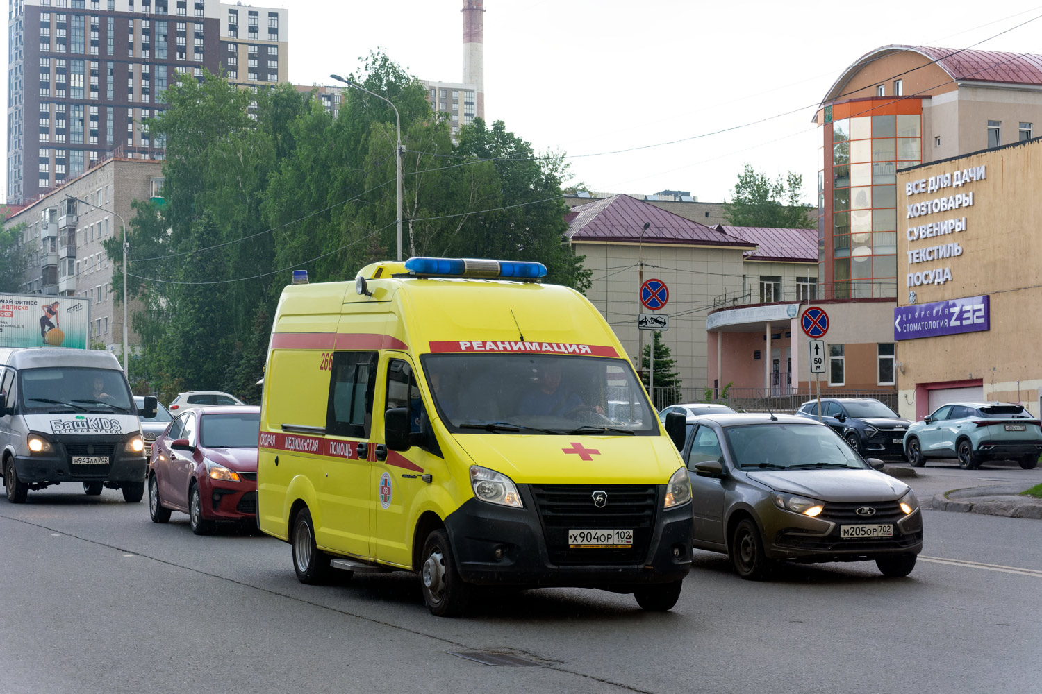 Башкортостан, Луидор-2250C3 № 266