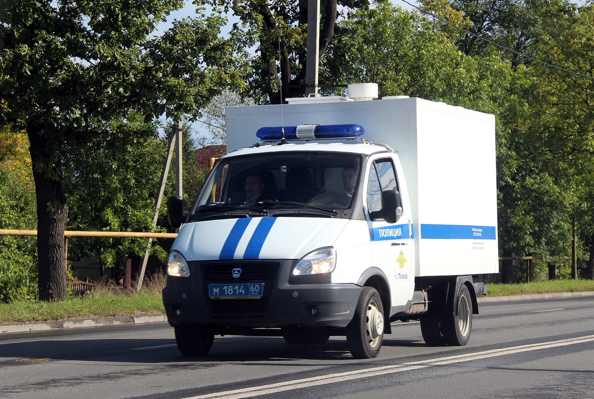 Псковская область, 3302-АЗ [326041] № М 1814 60